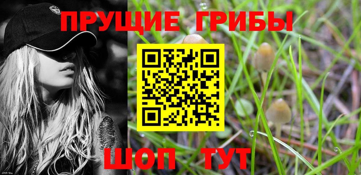 Галлюциногенные грибы ЛСД Люберцы