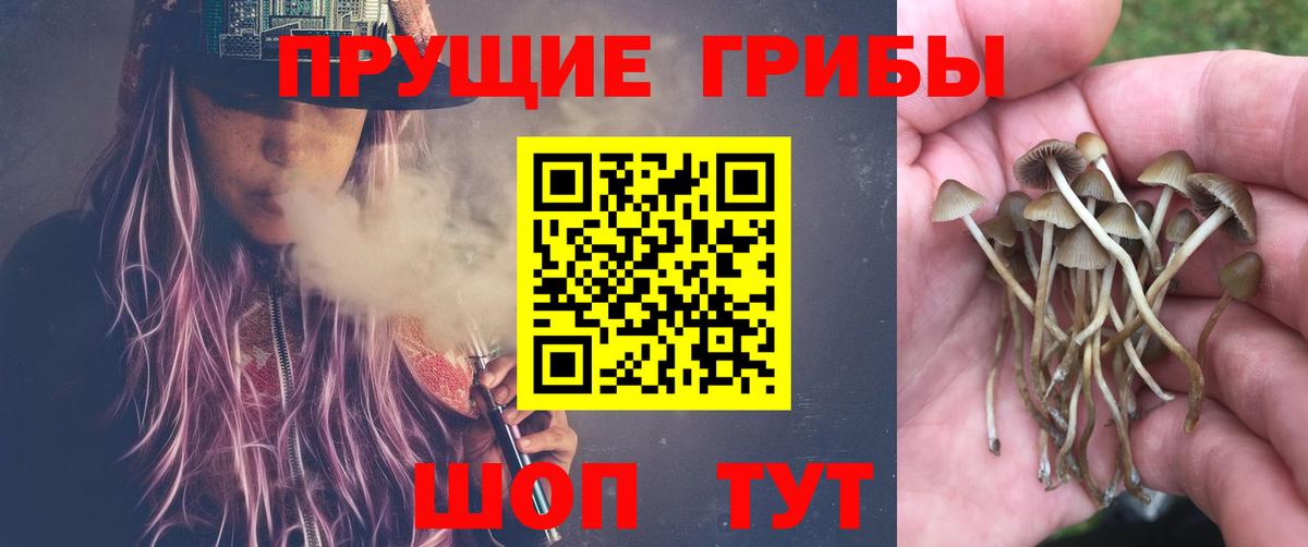 Галлюциногенные грибы MAGIC MUSHROOMS  где продают   Люберцы  Псилоцибиновые грибы мицелий  Вход с VPN 